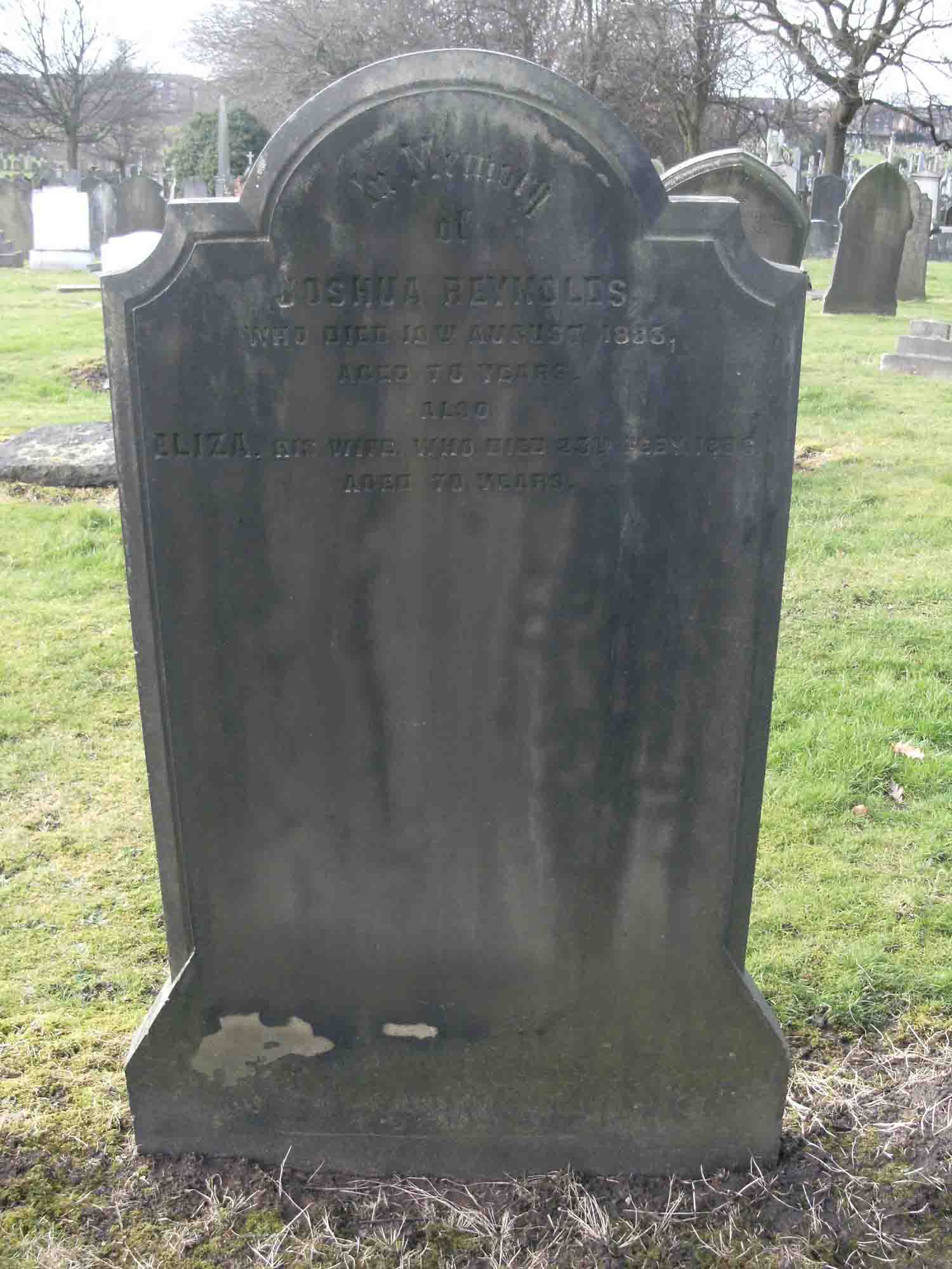 Reynolds, Joshua & Eliza (D Left 296)